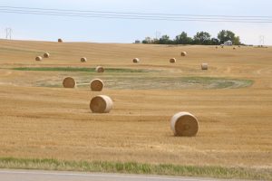 fields-saskatchewan