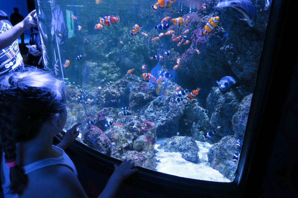 5 Days in London with Kids. Find out the Top 8 picks of fun things to do in London with your family. A 5 day London itinerary with kids, including Buckingham Palace, London Eye, Big Ben, Princess Diana Memorial Playground, South Bank and more. Make your London family trip planning easy! #london #londonkids #londoneye #buckinghampalace #southbank #wimbledon