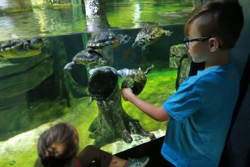 5 Days in London with Kids. Find out the Top 8 picks of fun things to do in London with your family. A 5 day London itinerary with kids, including Buckingham Palace, London Eye, Big Ben, Princess Diana Memorial Playground, South Bank and more. Make your London family trip planning easy! #london #londonkids #londoneye #buckinghampalace #southbank #wimbledon